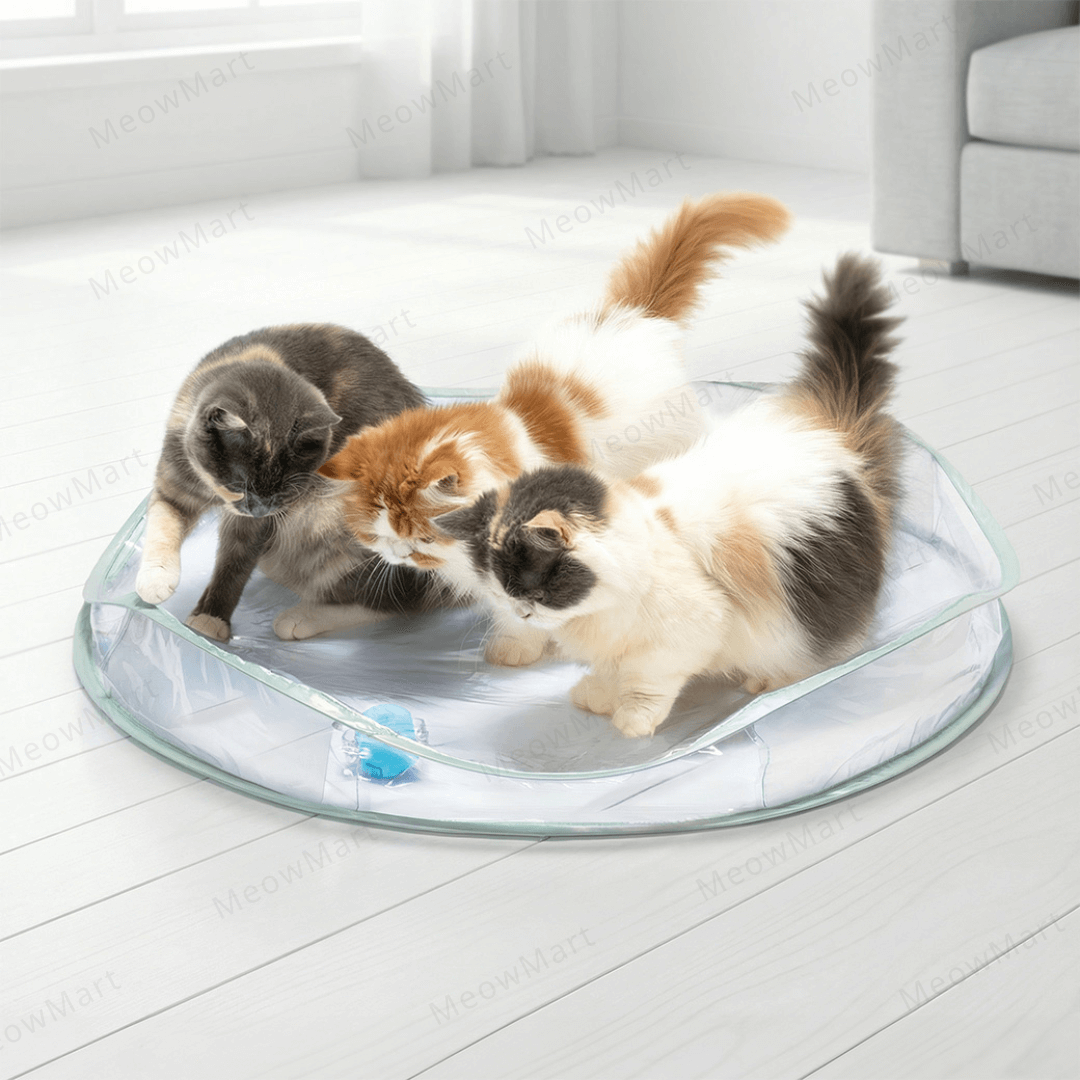 Necoichi 透明電動躲貓貓玩具