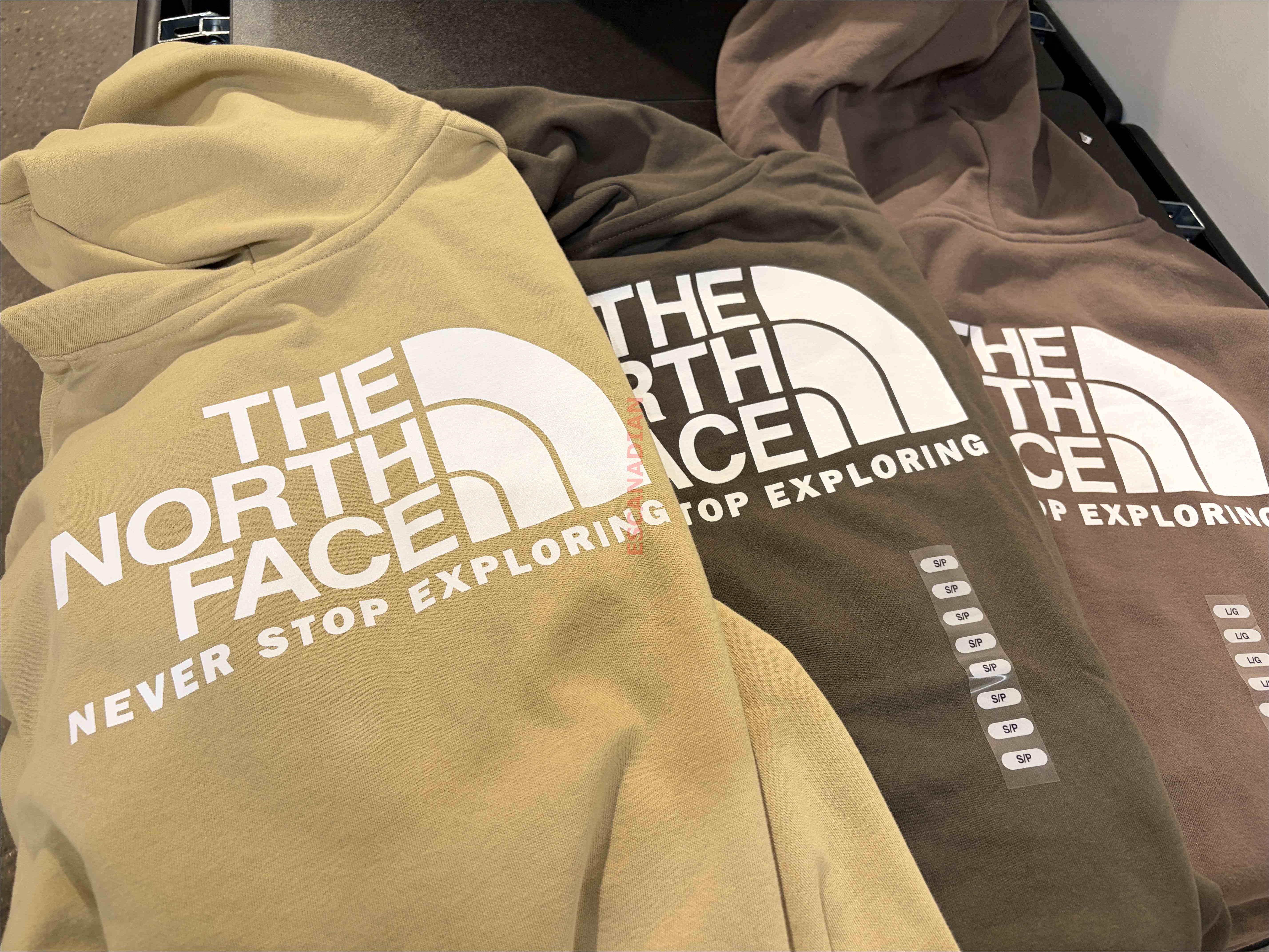THE NORTH FACE 男大人 經典正反LOGO 刷毛 帽TEE (前小後大) (3色)