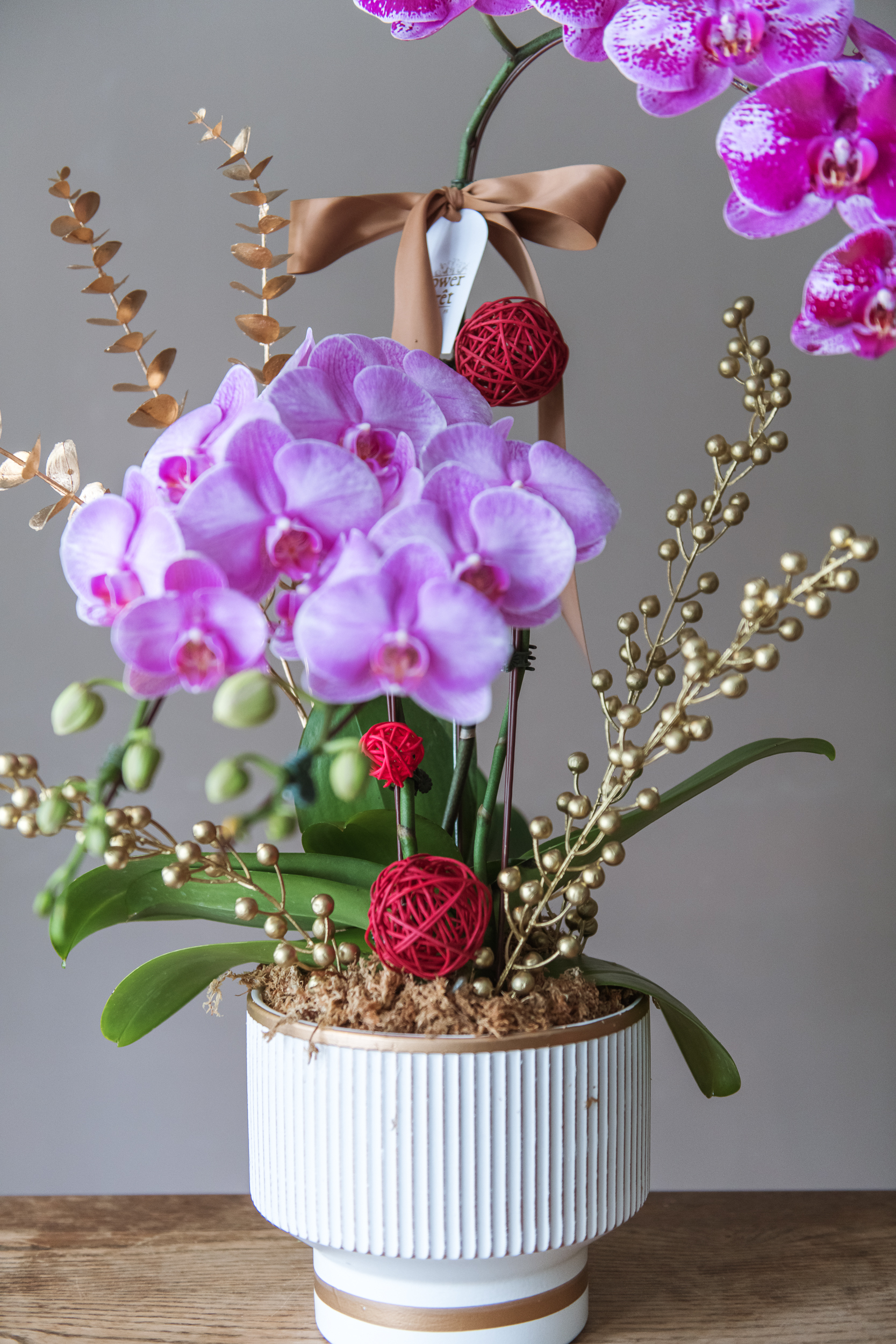 經典蘭花H款 | 桌花