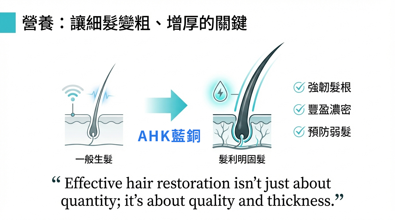 為什頭髮長出來,卻留不住?