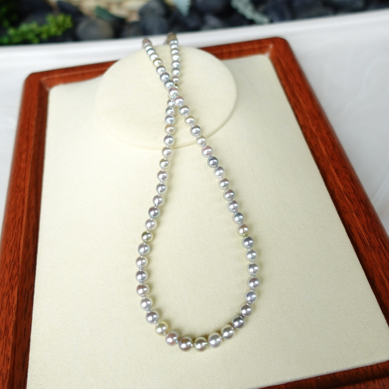 5-5.5mm 天然糖果色Akoya珍珠項鏈