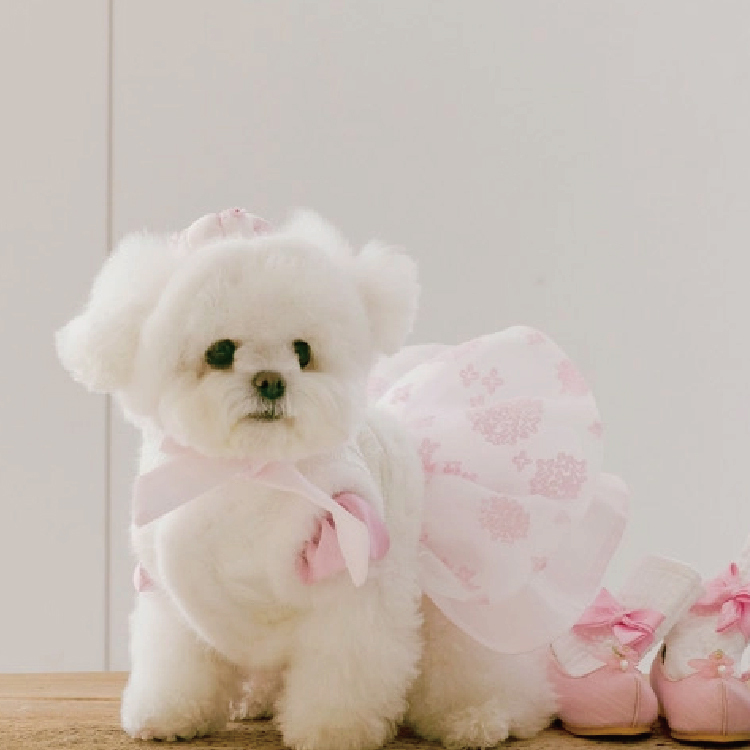 Blooming韓服背心胸背