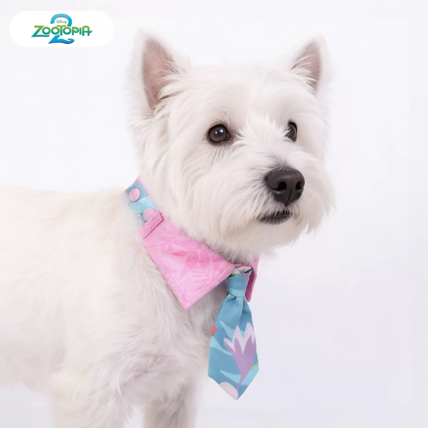 疯狂动物城 尼克口水巾