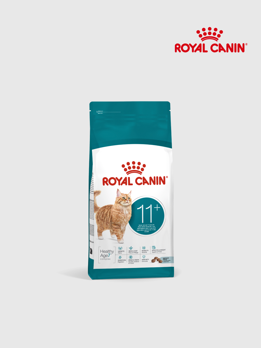 【法國皇家 ROYAL CANIN】A30+11 11+歲老貓專用乾糧｜2kg