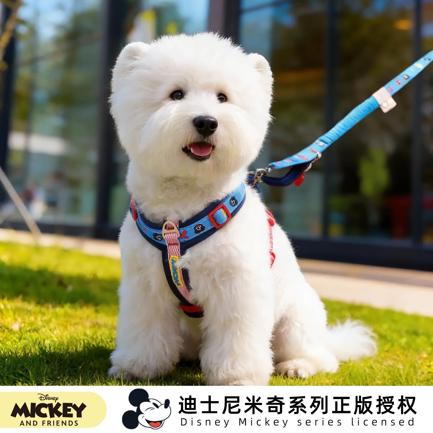 迪士尼米奇 宠物胸背 牵引绳 项圈