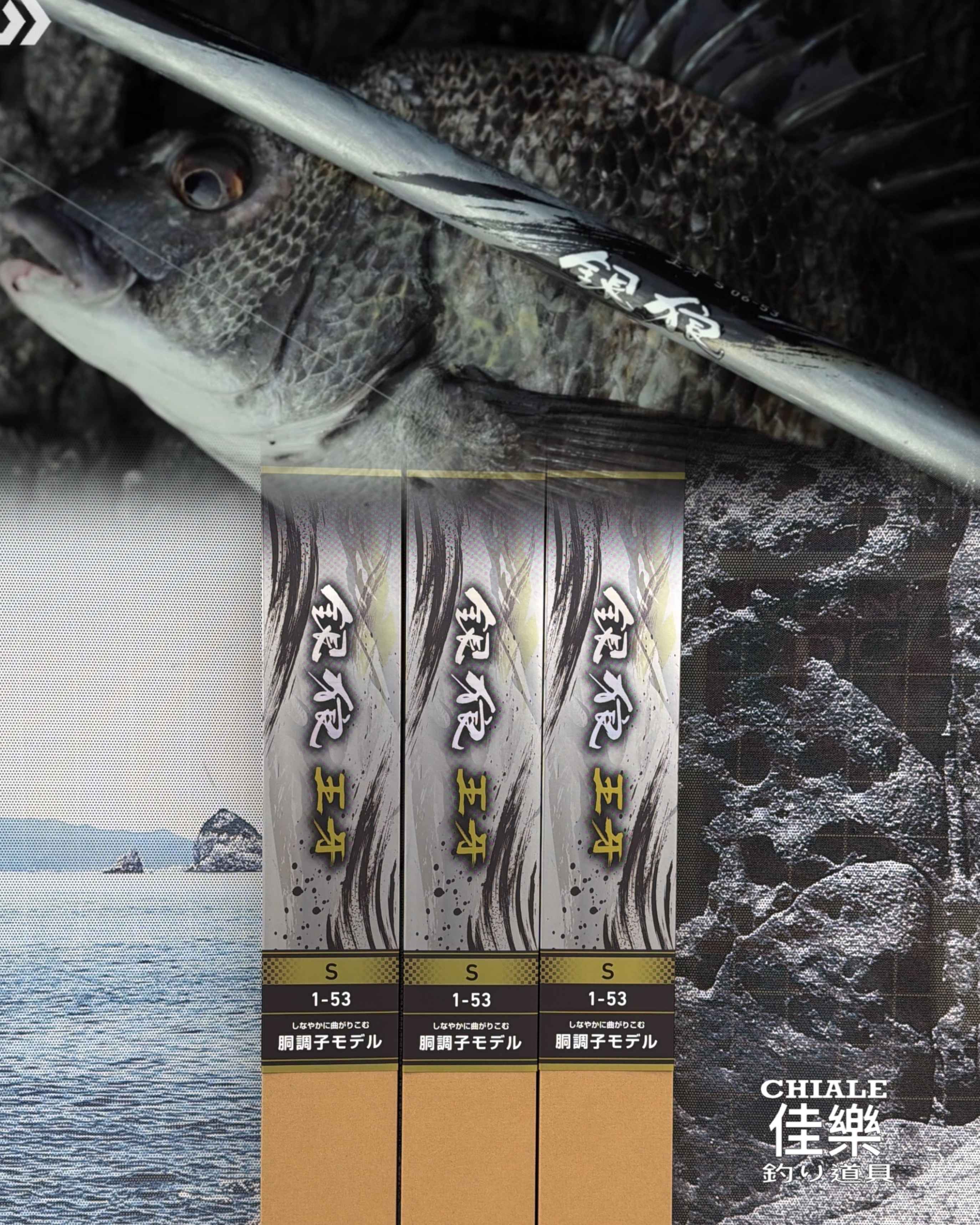 DAIWA 2026 新款銀狼王牙GINROU OHGA 黑鯛竿磯釣竿頂級黑鯛竿