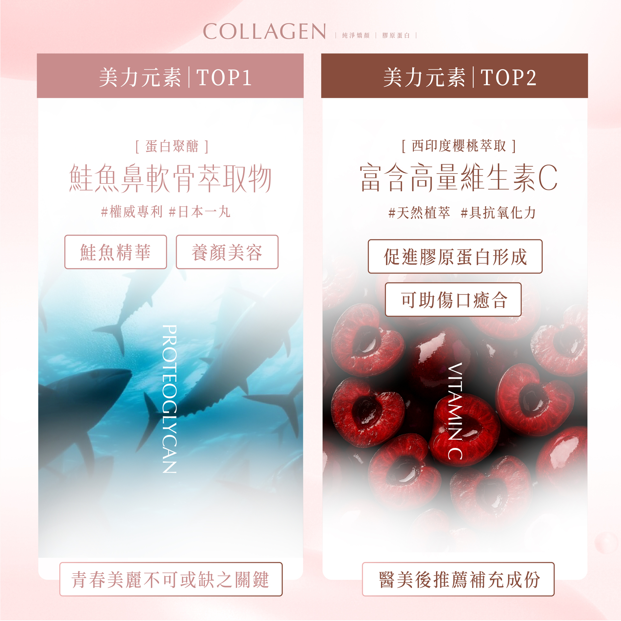 POOG 膠原蛋白 關鍵成分 鮭魚鼻軟骨萃取(蛋白聚醣)與西印度櫻桃維生素C 促進膠原形成
