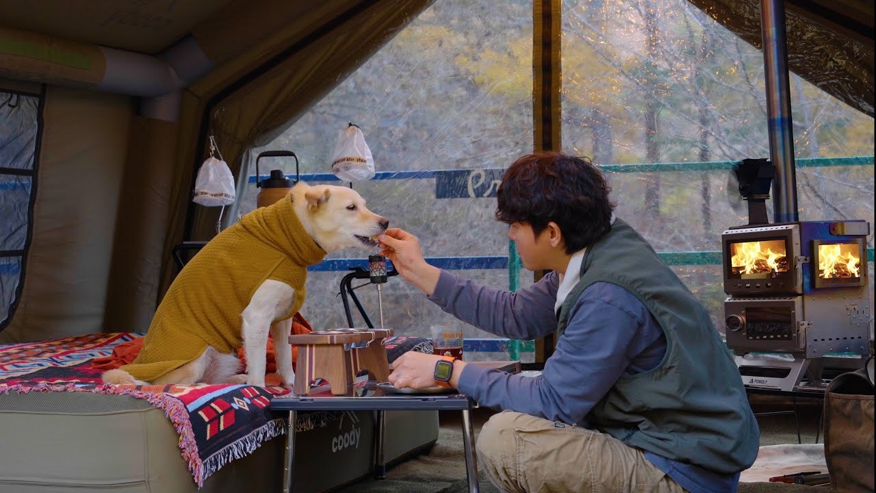 秋夜森林露營 柴火劈啪作響 10.0 帳篷和狗狗一起安靜過一晚