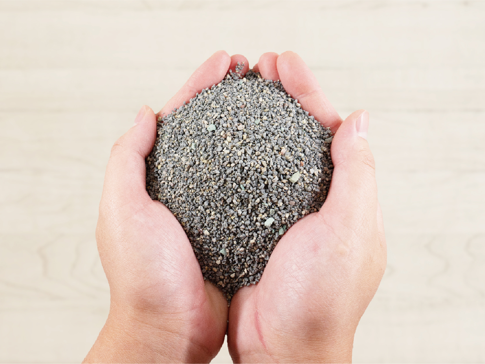 新手貓奴該注意的事項_6