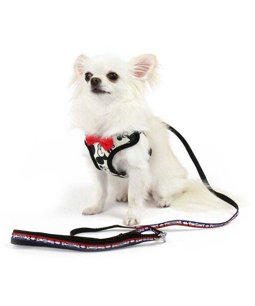 【PET PARADISE】寵物胸背帶-附牽繩 90週年限定 米奇 4S、3S、 S、SS