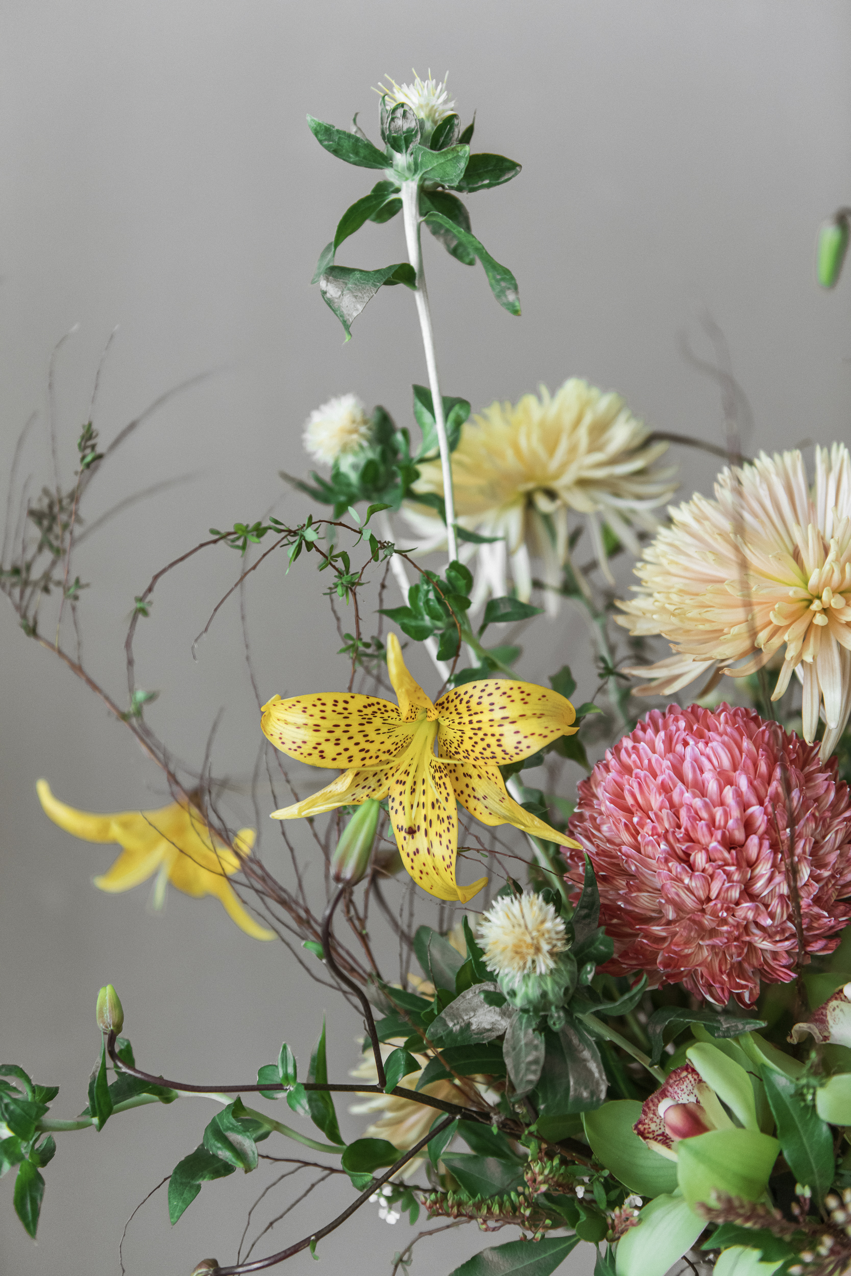 迎春靜好 | 桌花