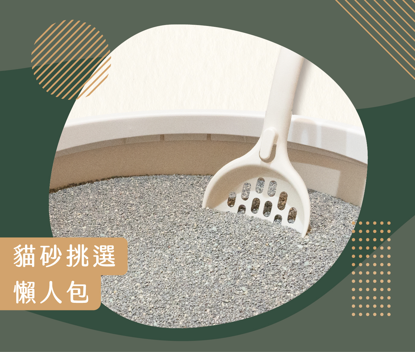 貓砂挑選懶人包