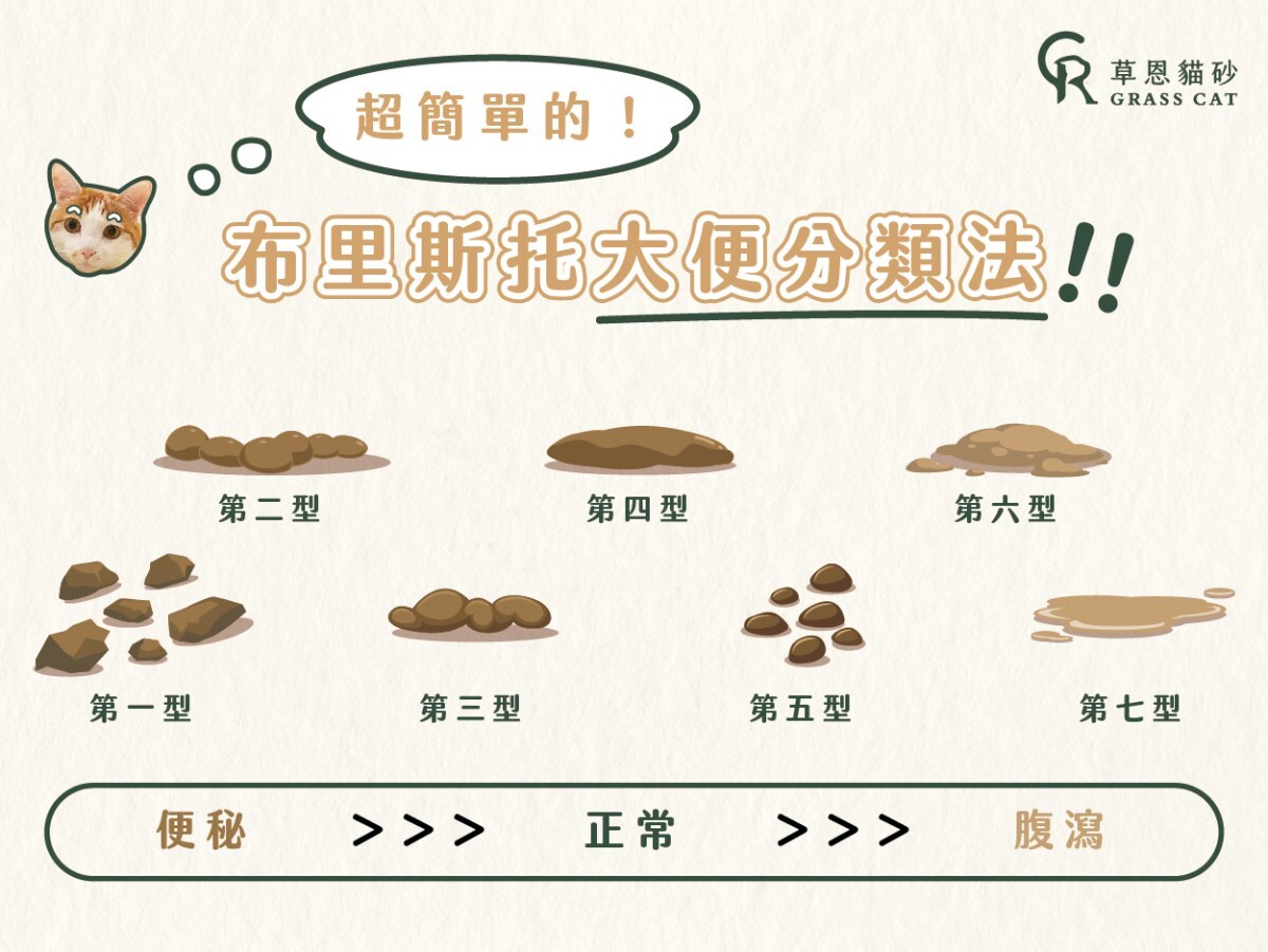 貓咪大便種類分類