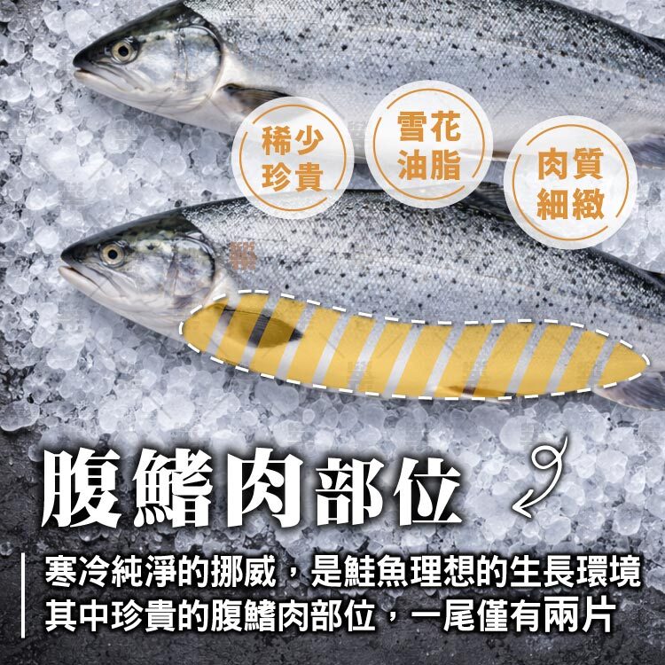 腹鰭肉部位，老饕喜愛的黃金部位，油脂分佈如雪花