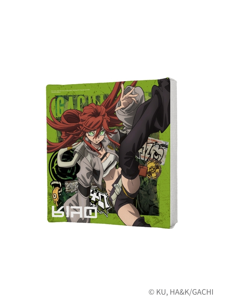 GACHIAKUTA 無框畫 Action理遙