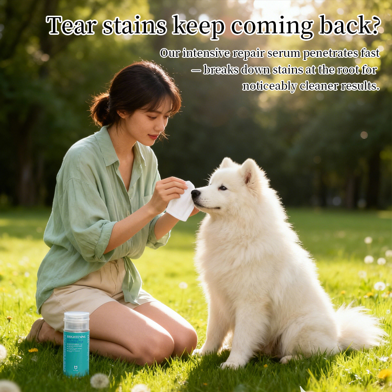Pet brightening tear stain cleanser solution for dogs, effectively clearing stains