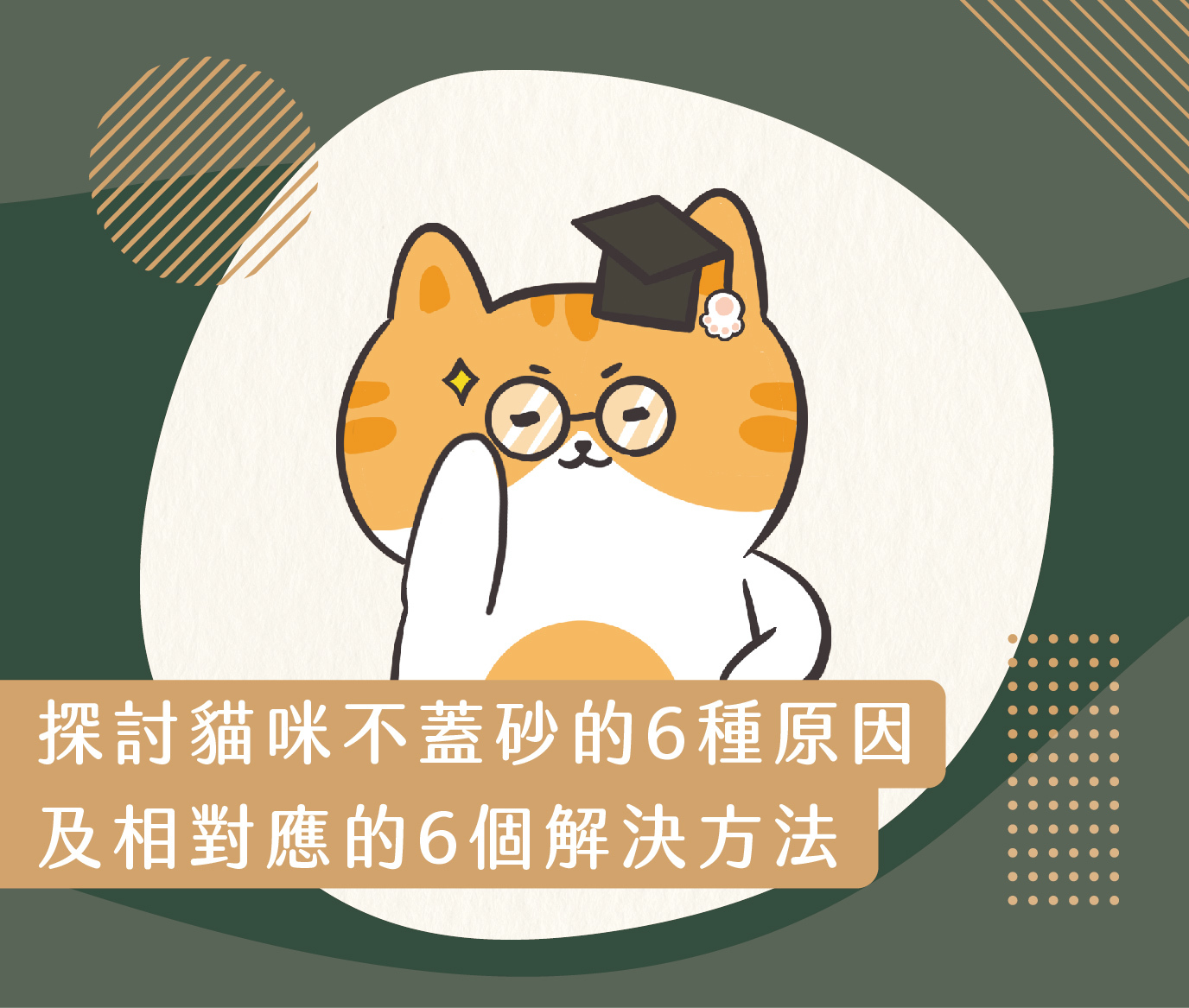 貓咪不蓋砂原因