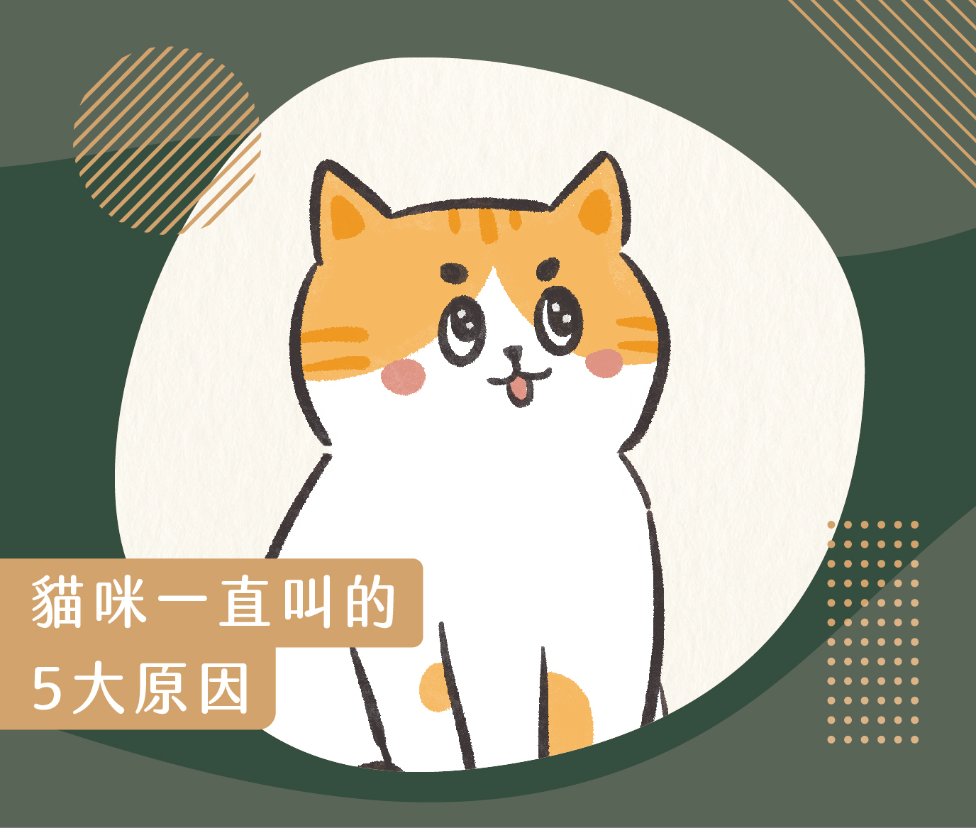 貓咪一直叫的5大原因