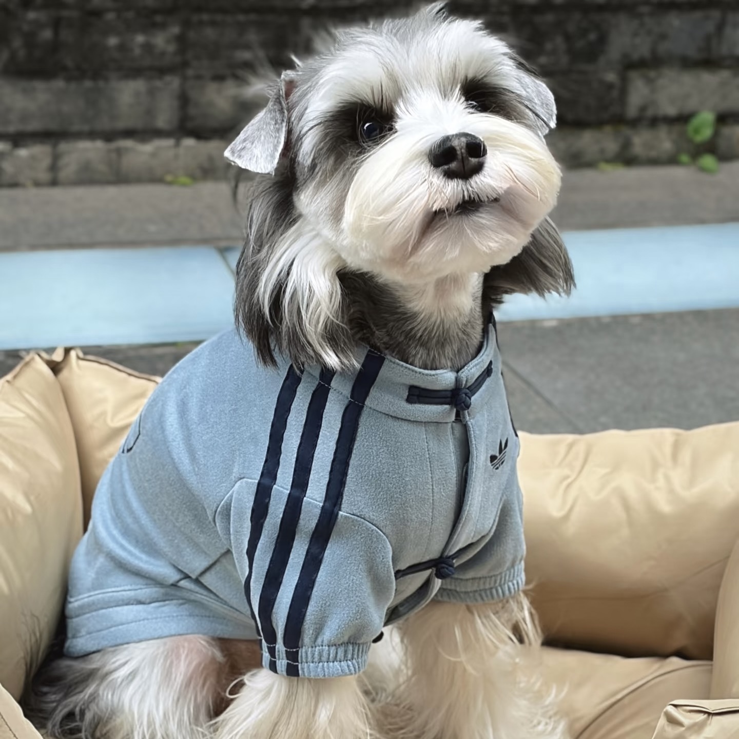 ADIDAS ORIGINALS 寵物 唐裝 衣服 新年限定 新中式 三色 /預購