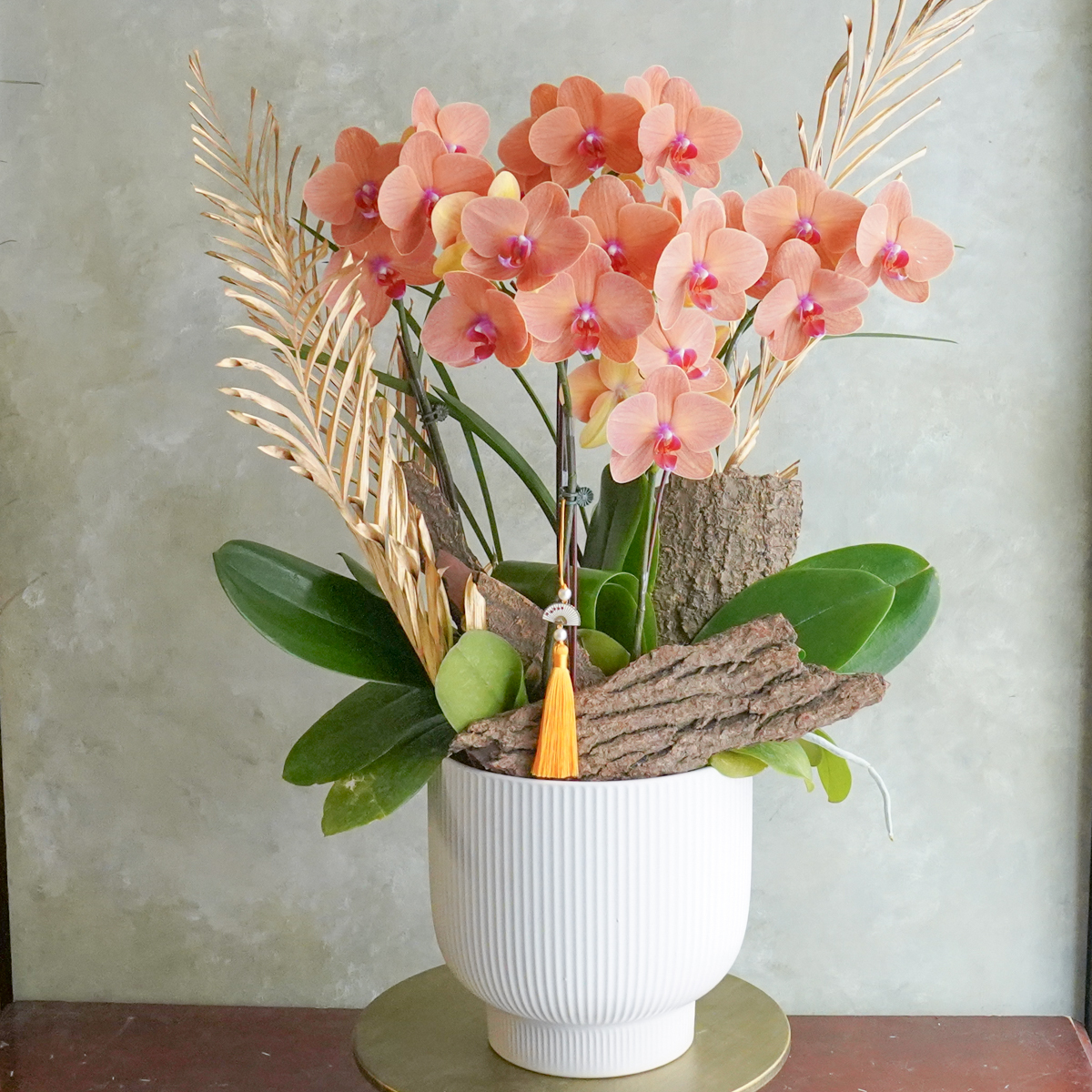 橘色蘭花,象徵局勢大好,心想事成,蝴蝶蘭推薦台北