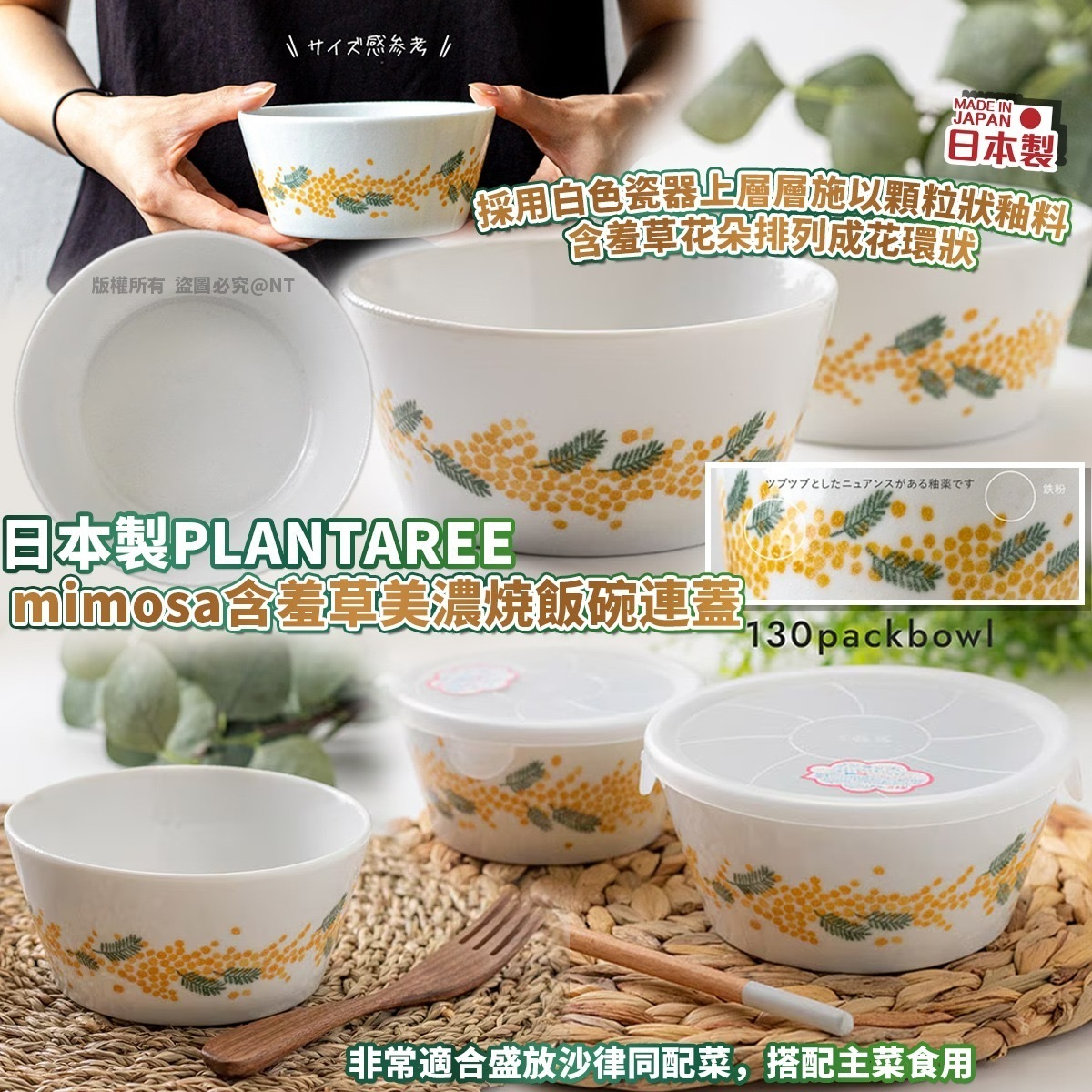 日本製PLANTAREE mimosa含羞草美濃燒飯碗連蓋 一套2個