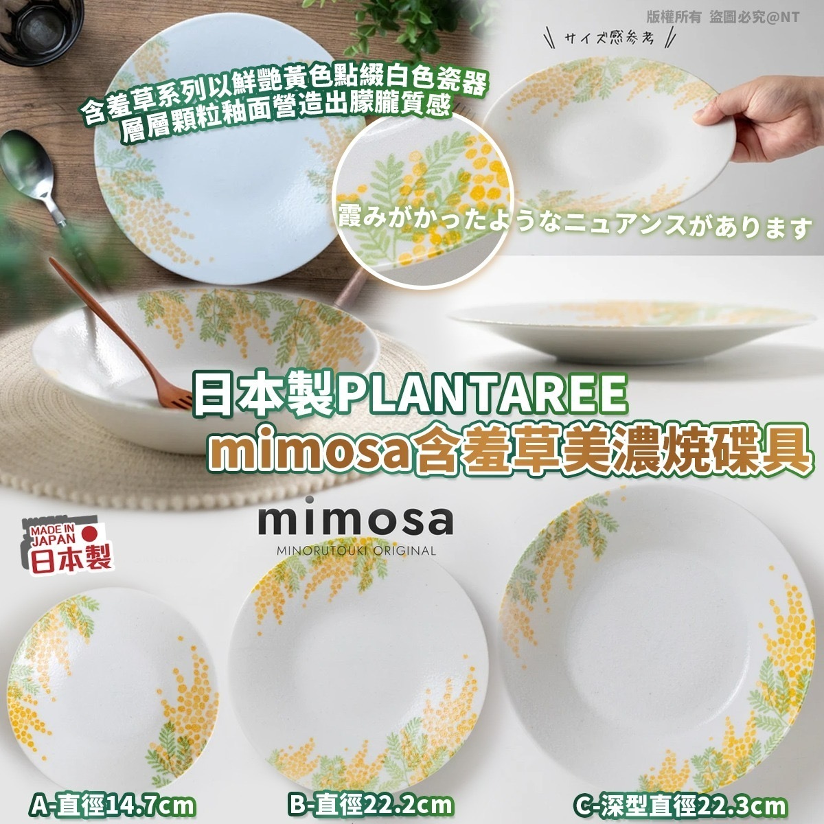 日本製PLANTAREE mimosa含羞草美濃燒碟具