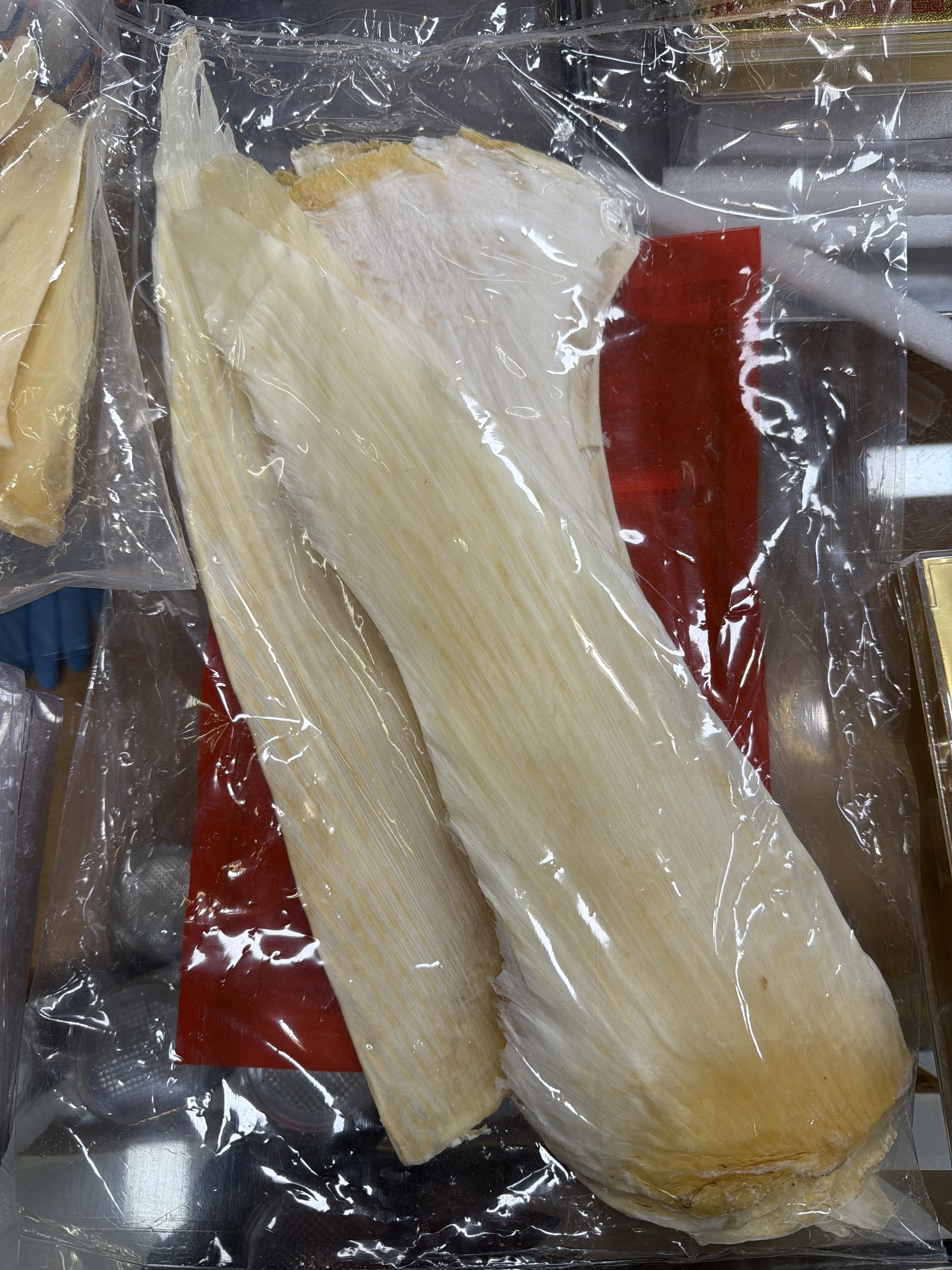 PA110 頂級特大牙揀魚翅 300克