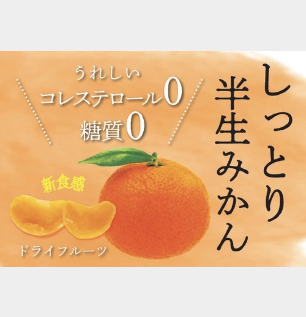 JP 蜜柑半生乾 75g 4780 TK260122