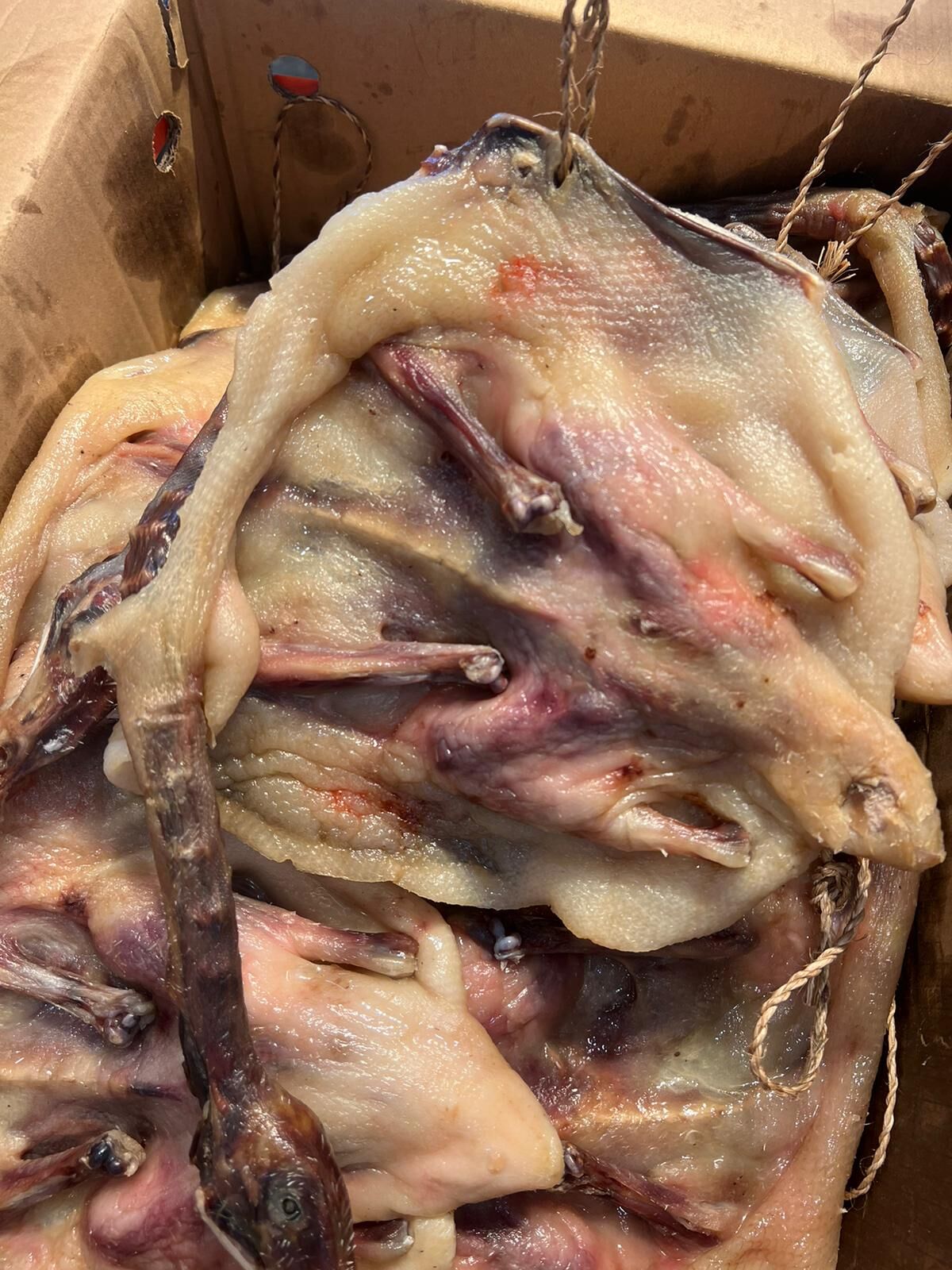 CF8737   正宗南安臘鴨 $180/隻，$300/2 隻  🔴留意：送貨需要安排急凍🔴