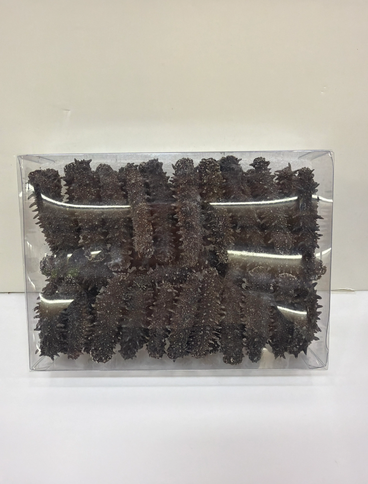 PA125 真正日本北海道刺參 發頭10-12倍 （半斤X2盒=1斤）**送大連刺參半斤（價值1280）