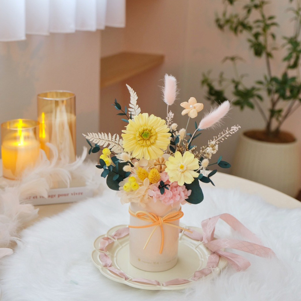 永生盆花 有太陽的日子 奶油粉