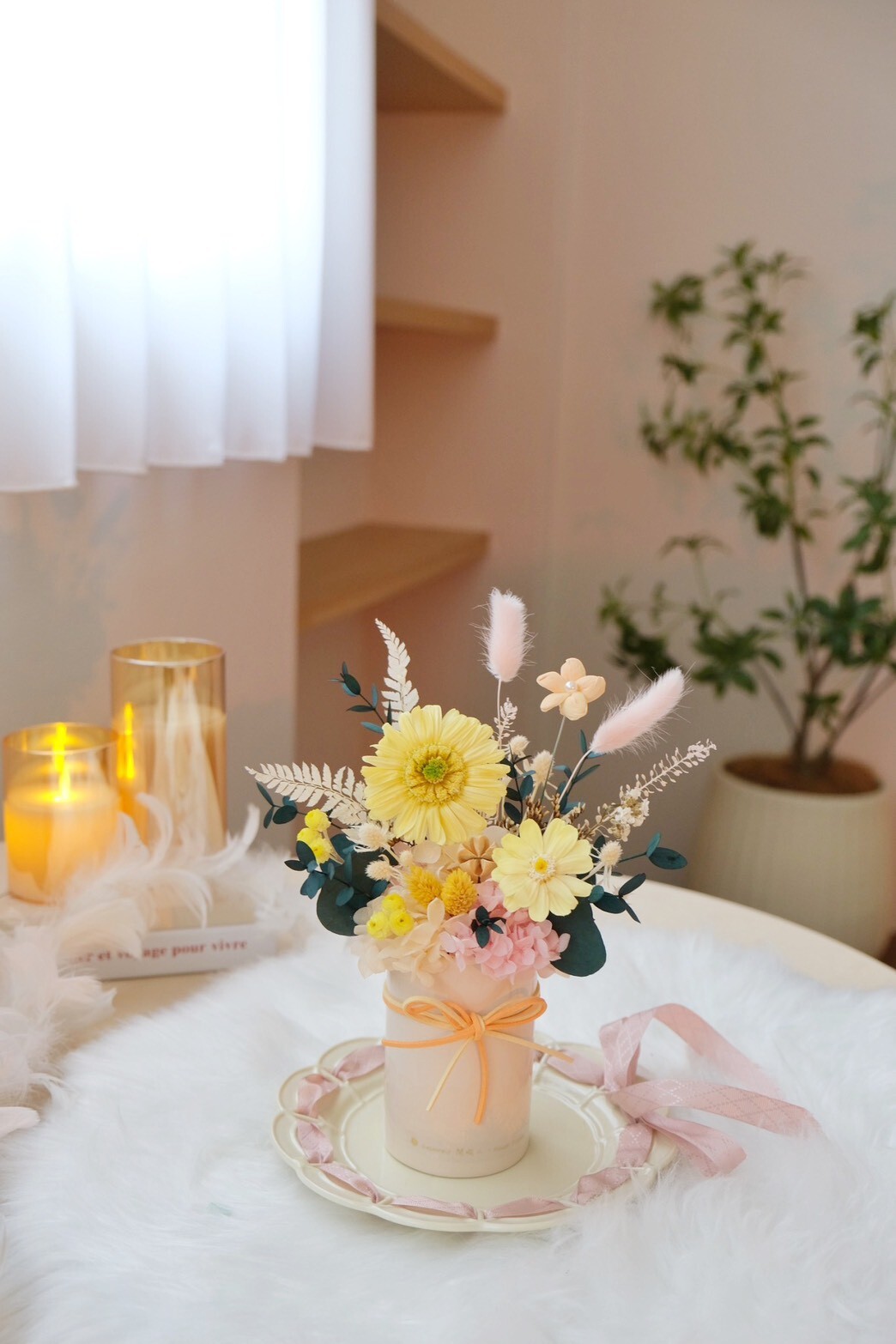 永生盆花 有太陽的日子 奶油粉