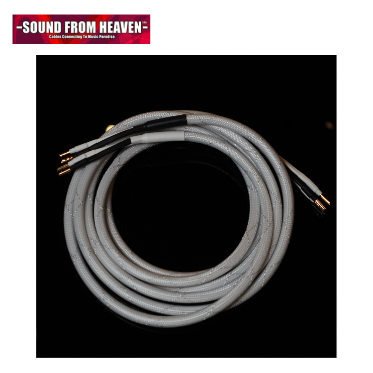 Sound From Heaven President X 20th 喇叭線