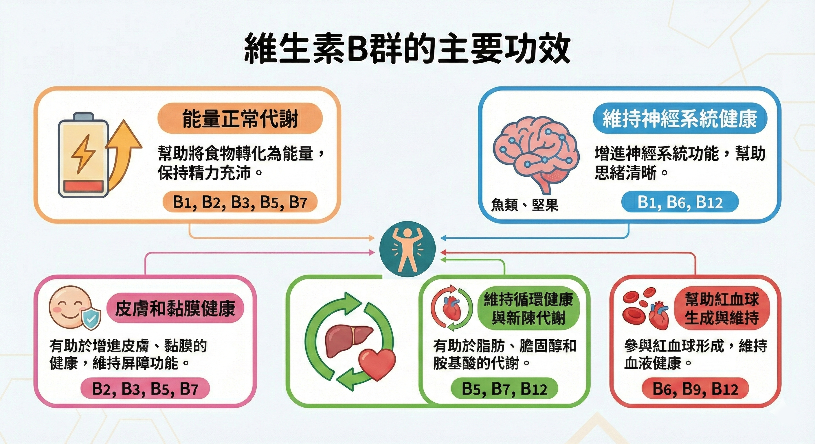 B群功效_記憶枕頭推薦_orest