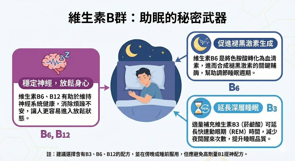 維生素B群功效_記憶枕頭推薦_orest