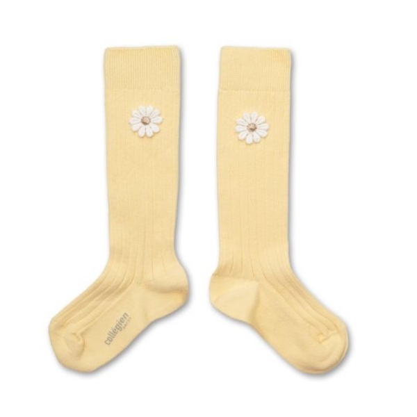 (預購) COLLEGIEN 雛菊羅紋長襪 Valentine - 039 Vanille 香草