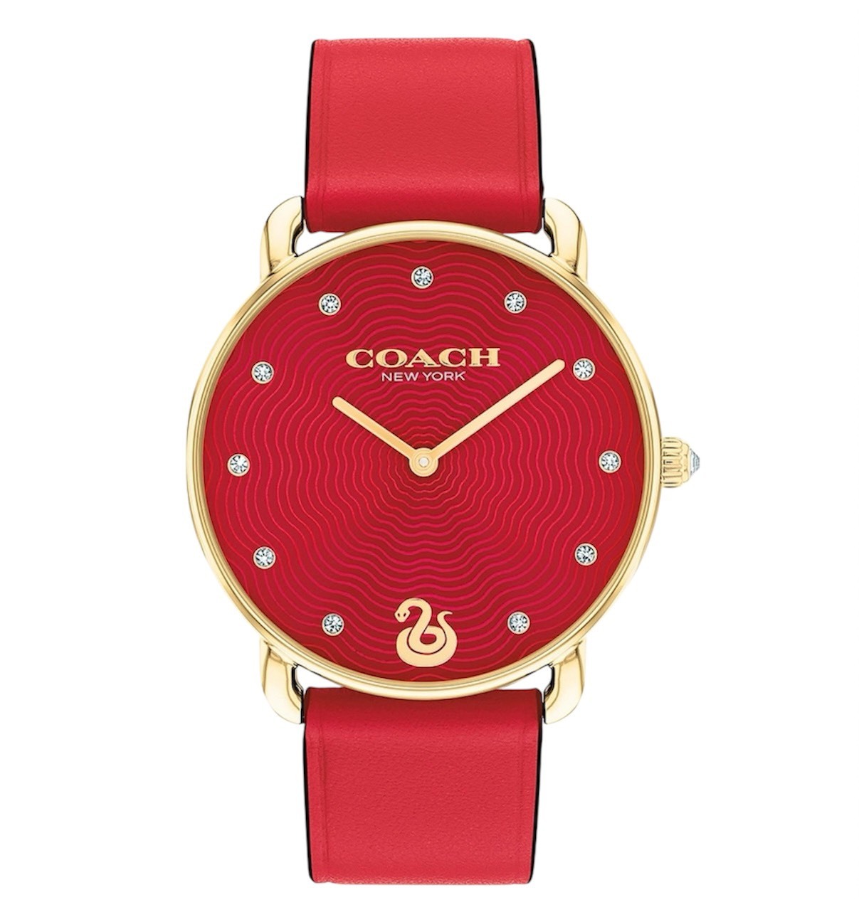 【COACH】蛇年限定款CO14504386  36mm 現代鐘錶