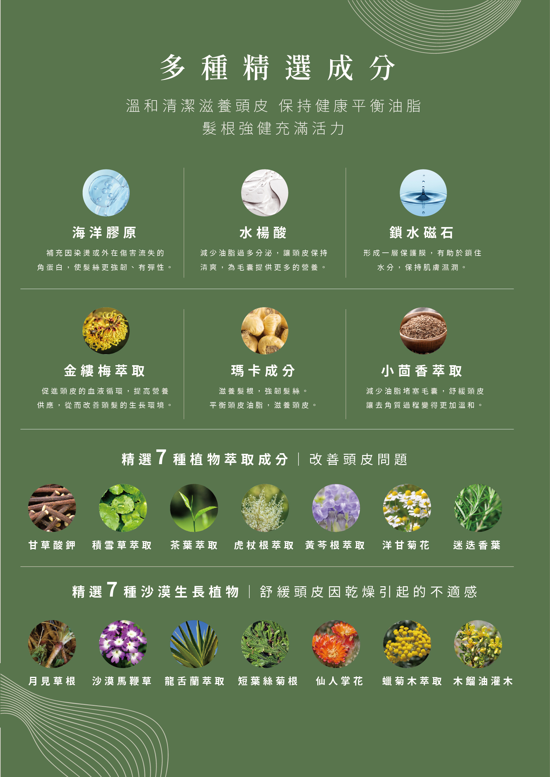 頭皮護理富含多種植物萃取精華