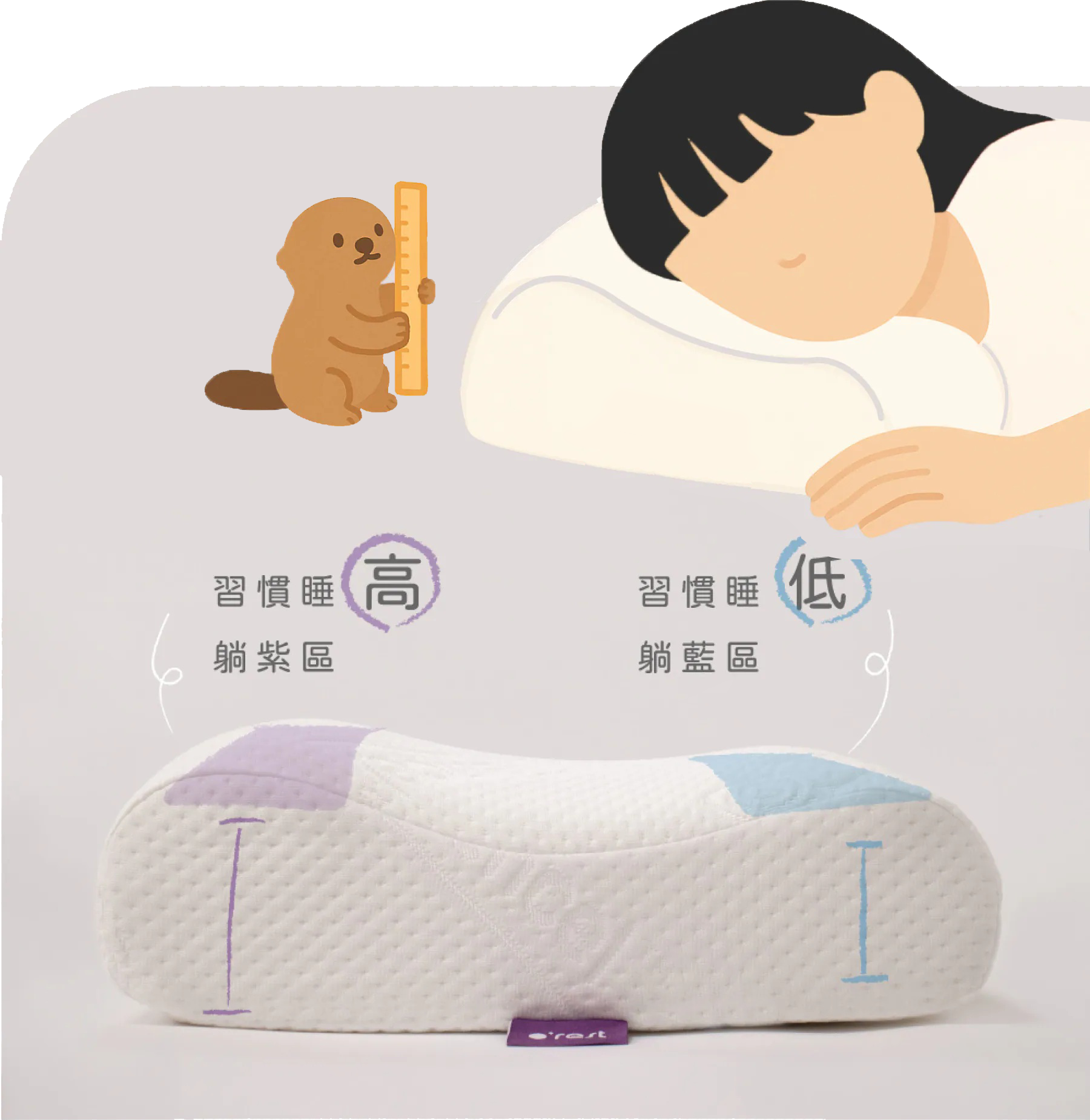 好枕頭的專家_orest歐瑞思