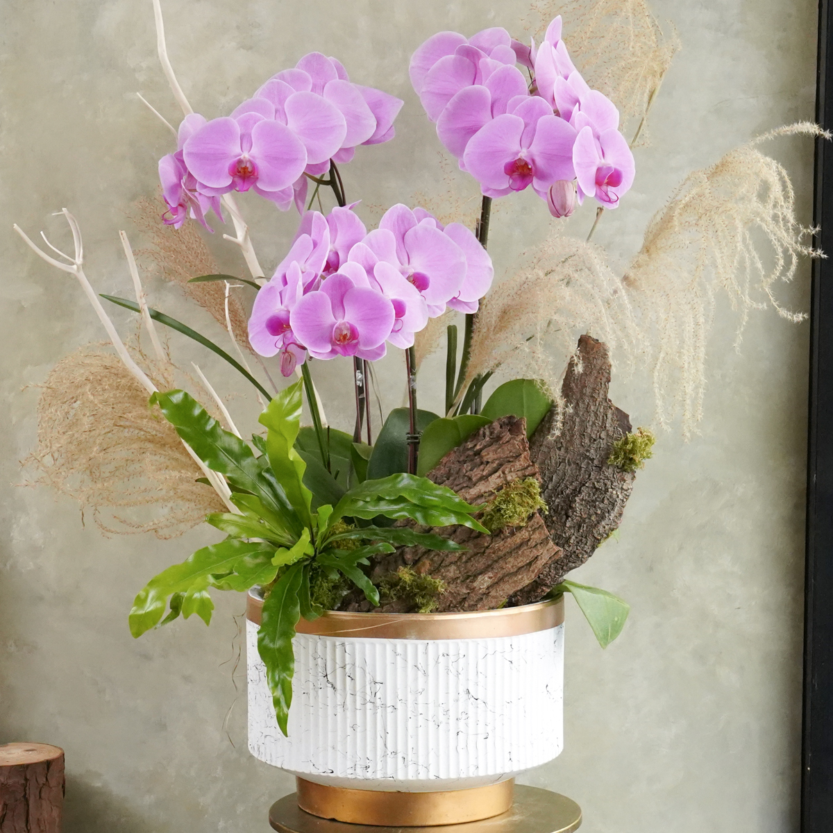 蘭花盆栽粉色,蘭花盆栽推薦台北,蘭花盆栽外送推薦,粉色3株