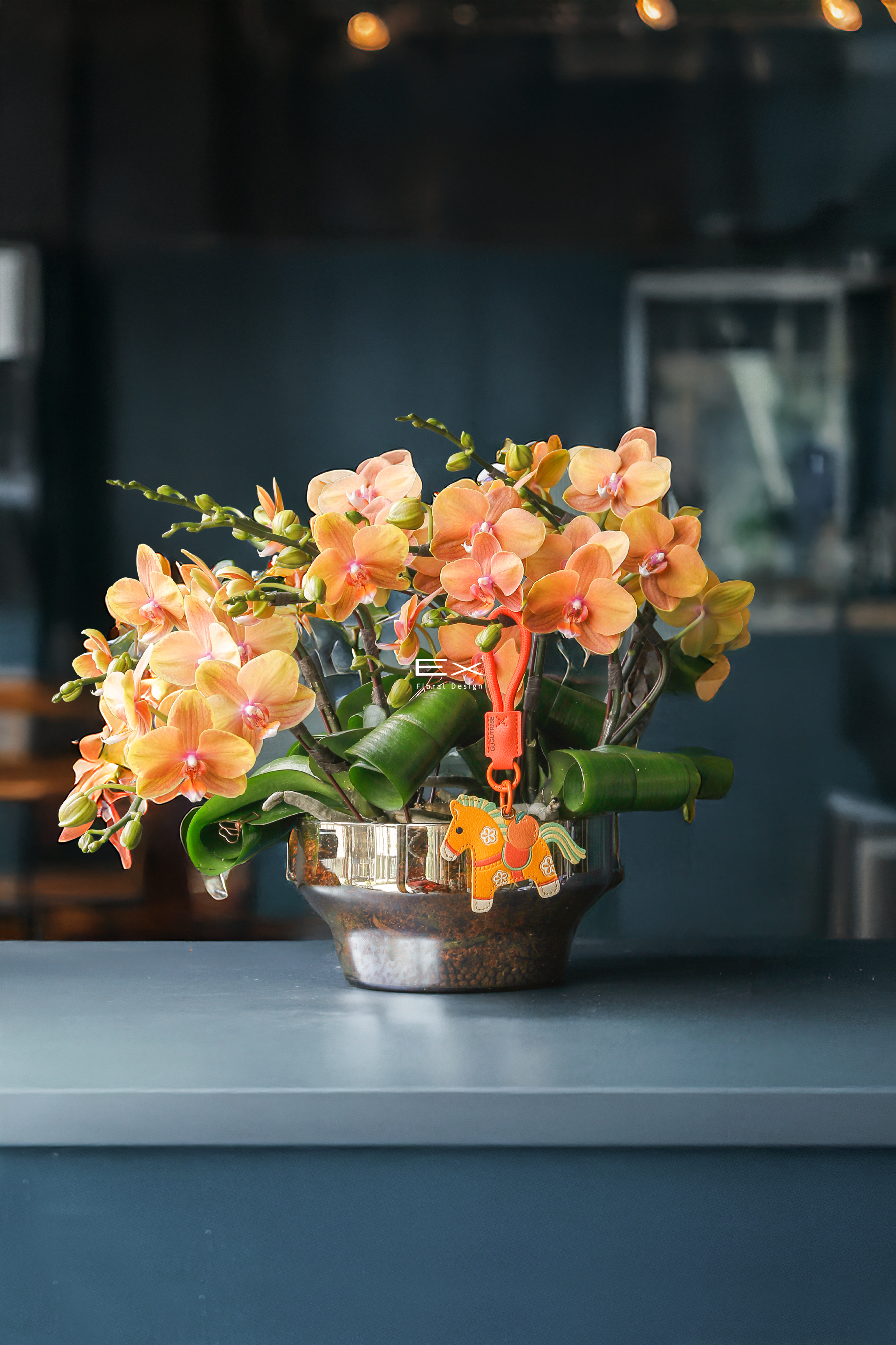 橙映吉時 Auspicious Orange Glow｜蝴蝶蘭花禮