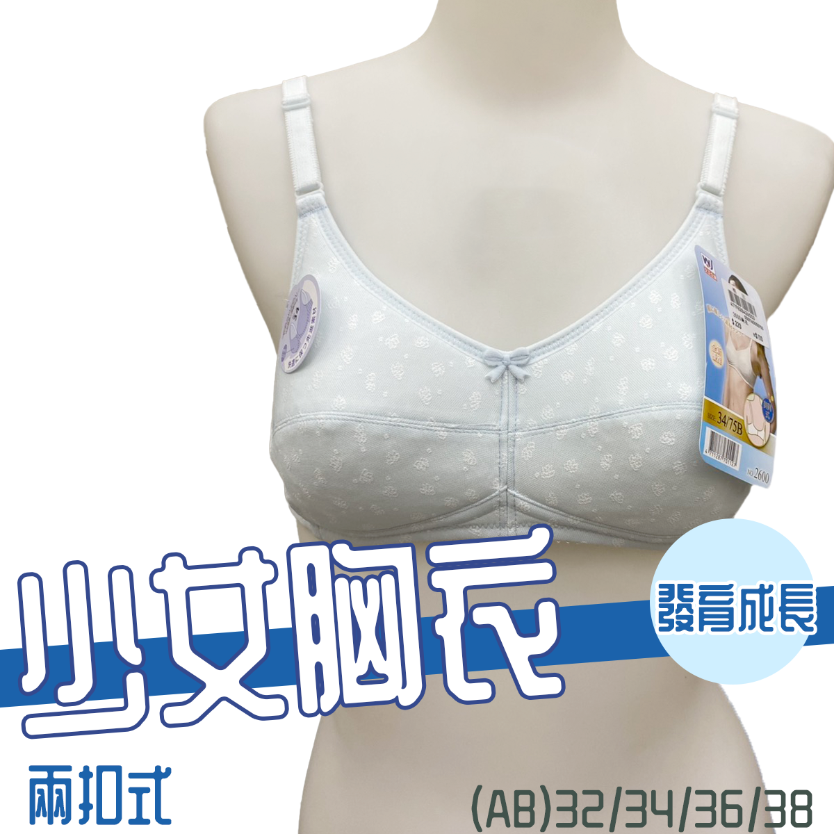 少女胸衣 2600