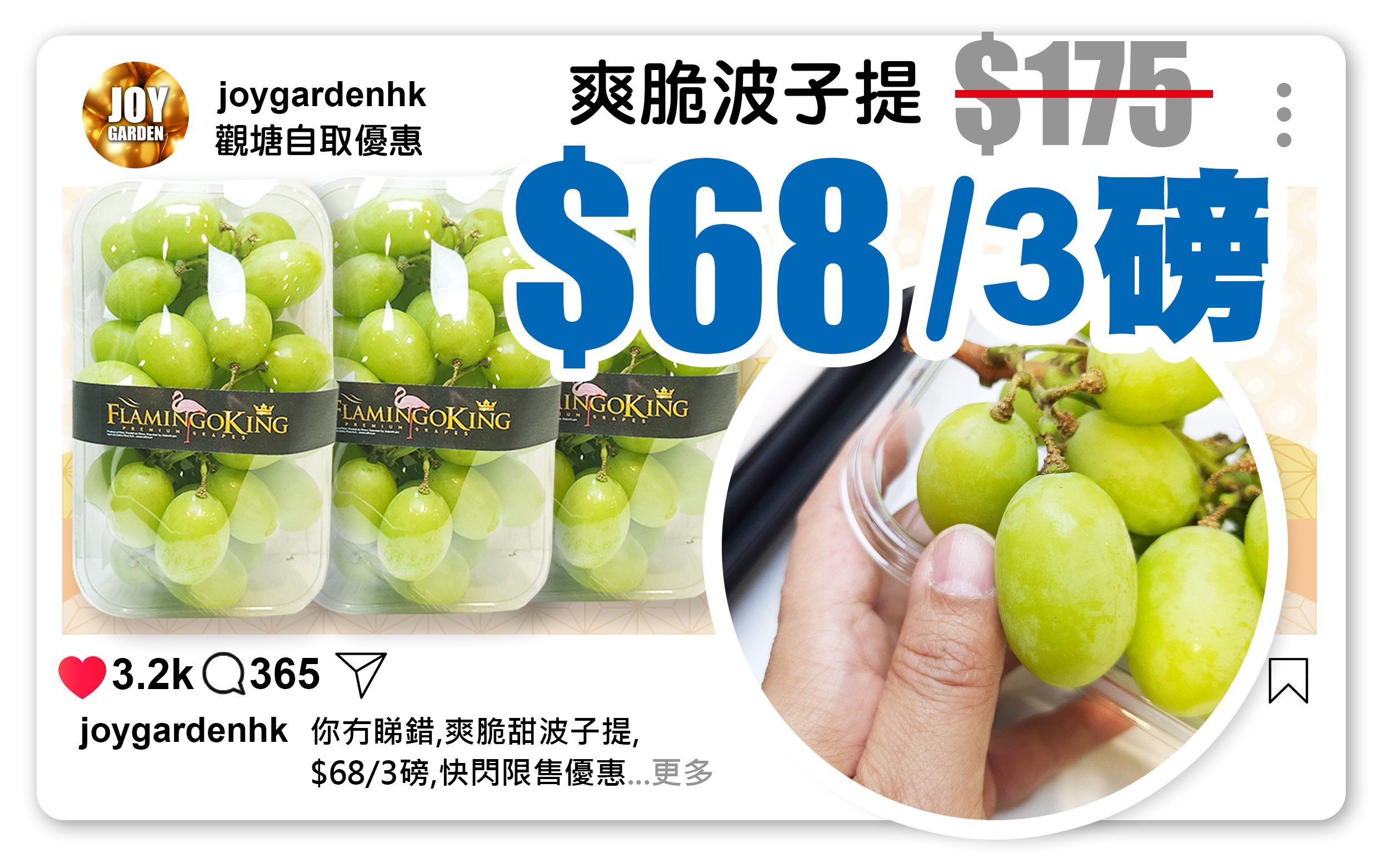 3磅 - 秘魯爽脆波子提