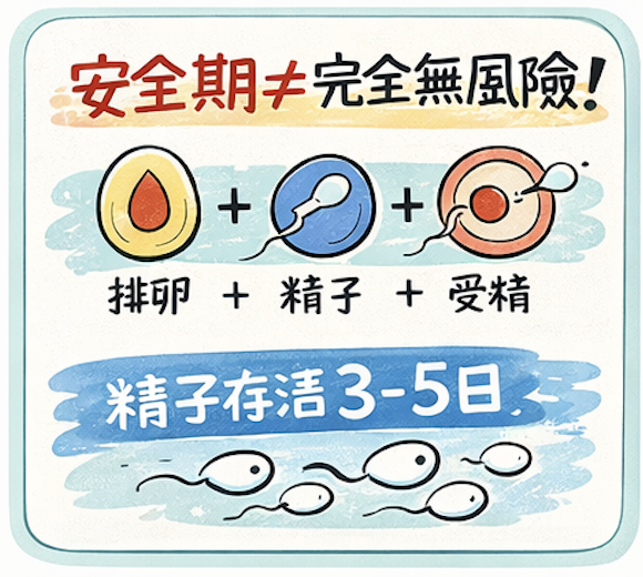 精子可存活3 － 5日，更容易懷孕