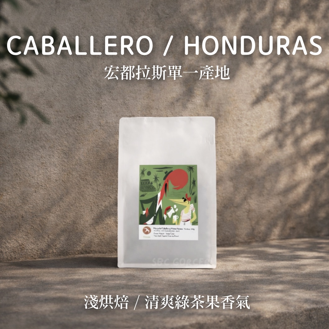 【即將抵台】𝗙𝘂𝗴𝗹𝗲𝗻 挪威候鳥咖啡 CABALLERO/HONDURAS