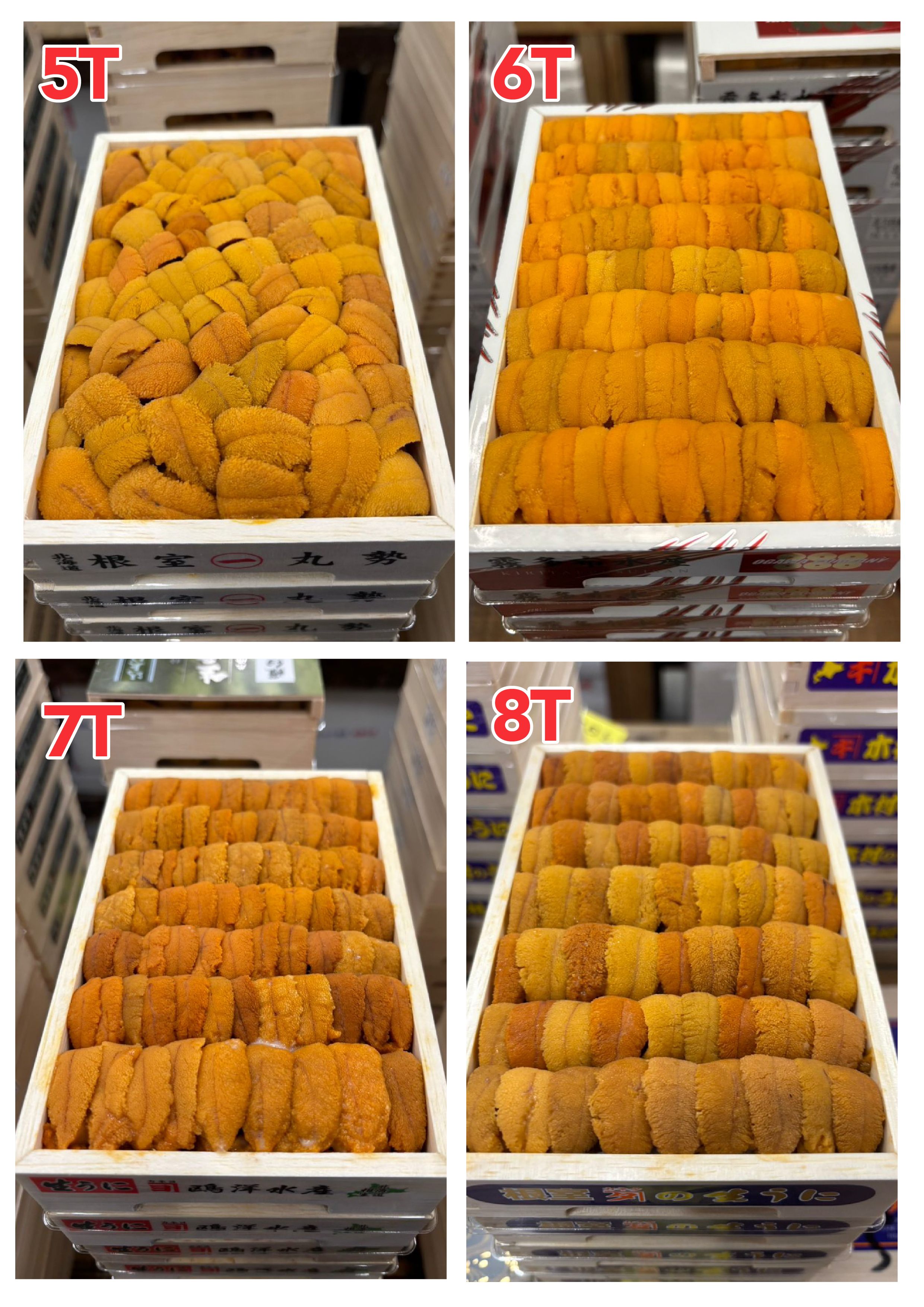 【指定海膽推薦】每天更新 (限即日落單, 翌日送)