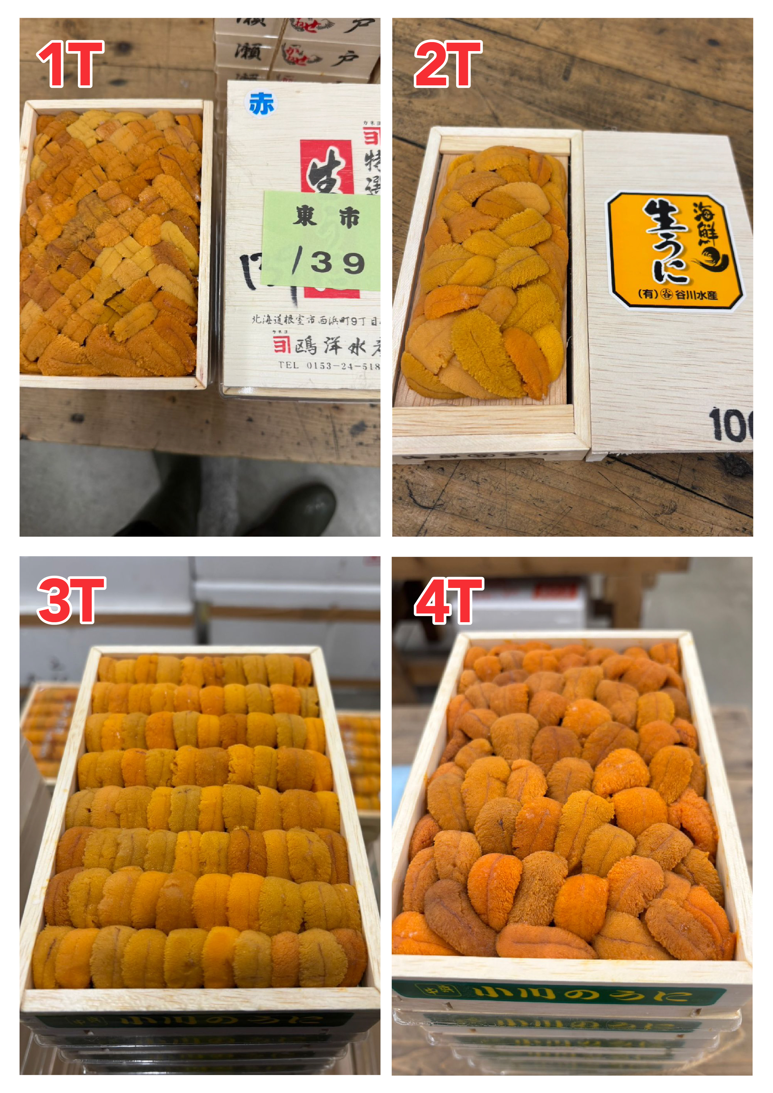 【指定海膽推薦】每天更新 (限即日落單, 翌日送)