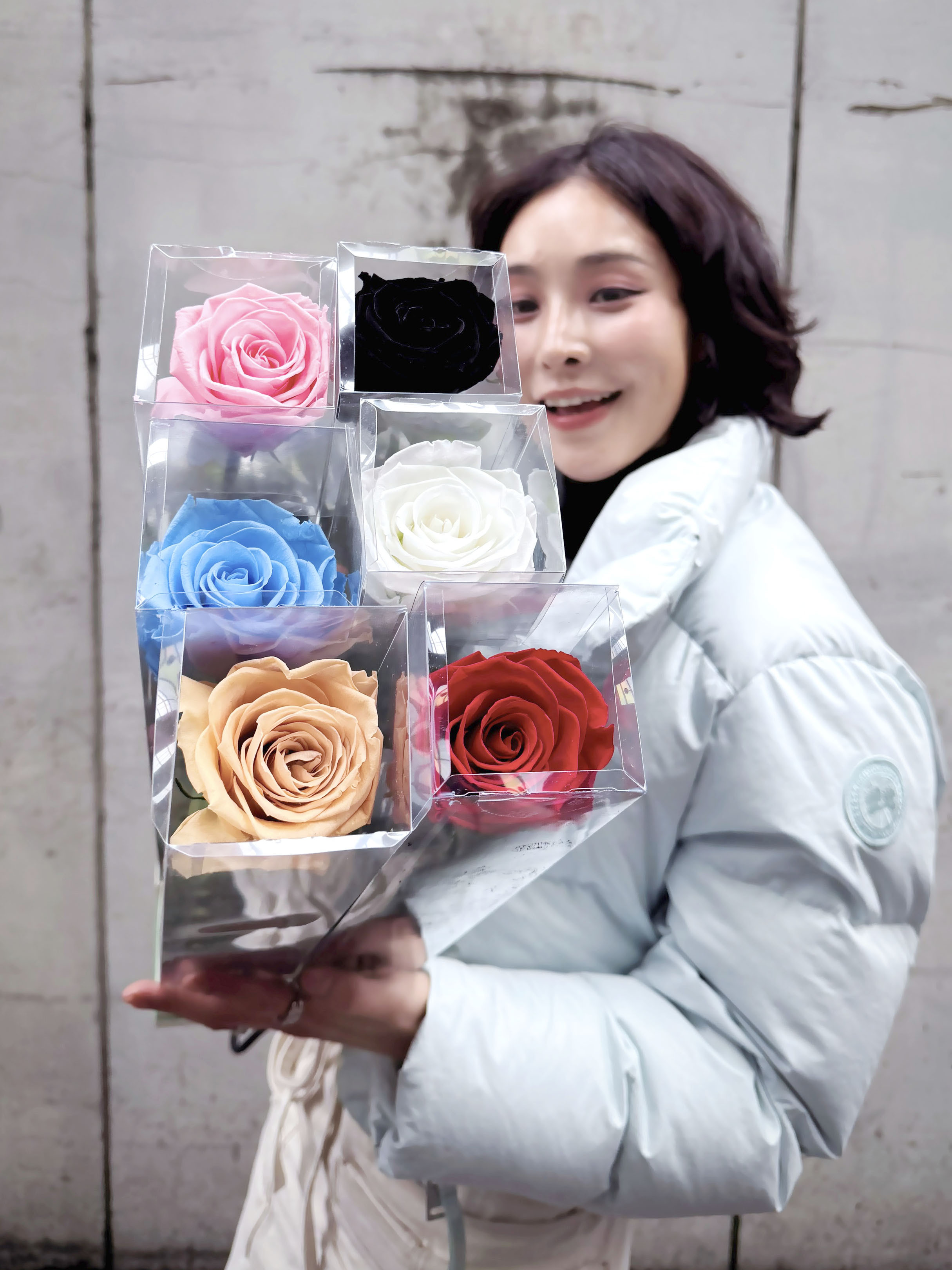 Preserved Stem Roses 永生帶枝玫瑰（12色）