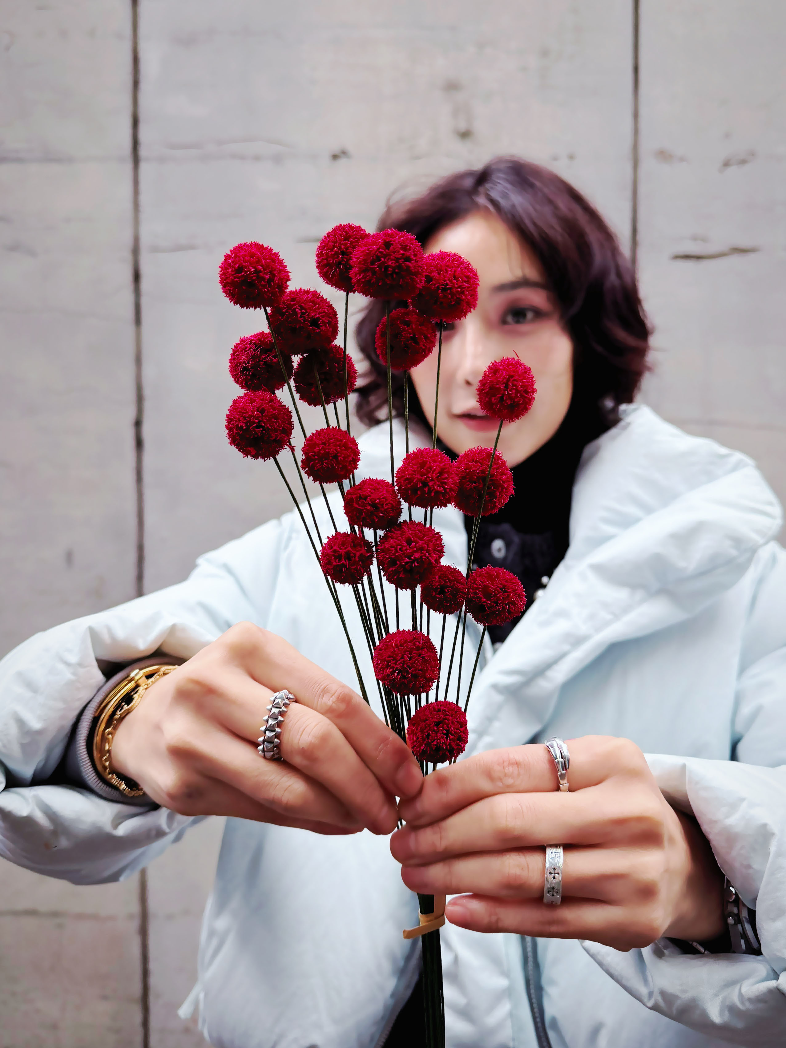 乾燥手工楓球（多色）