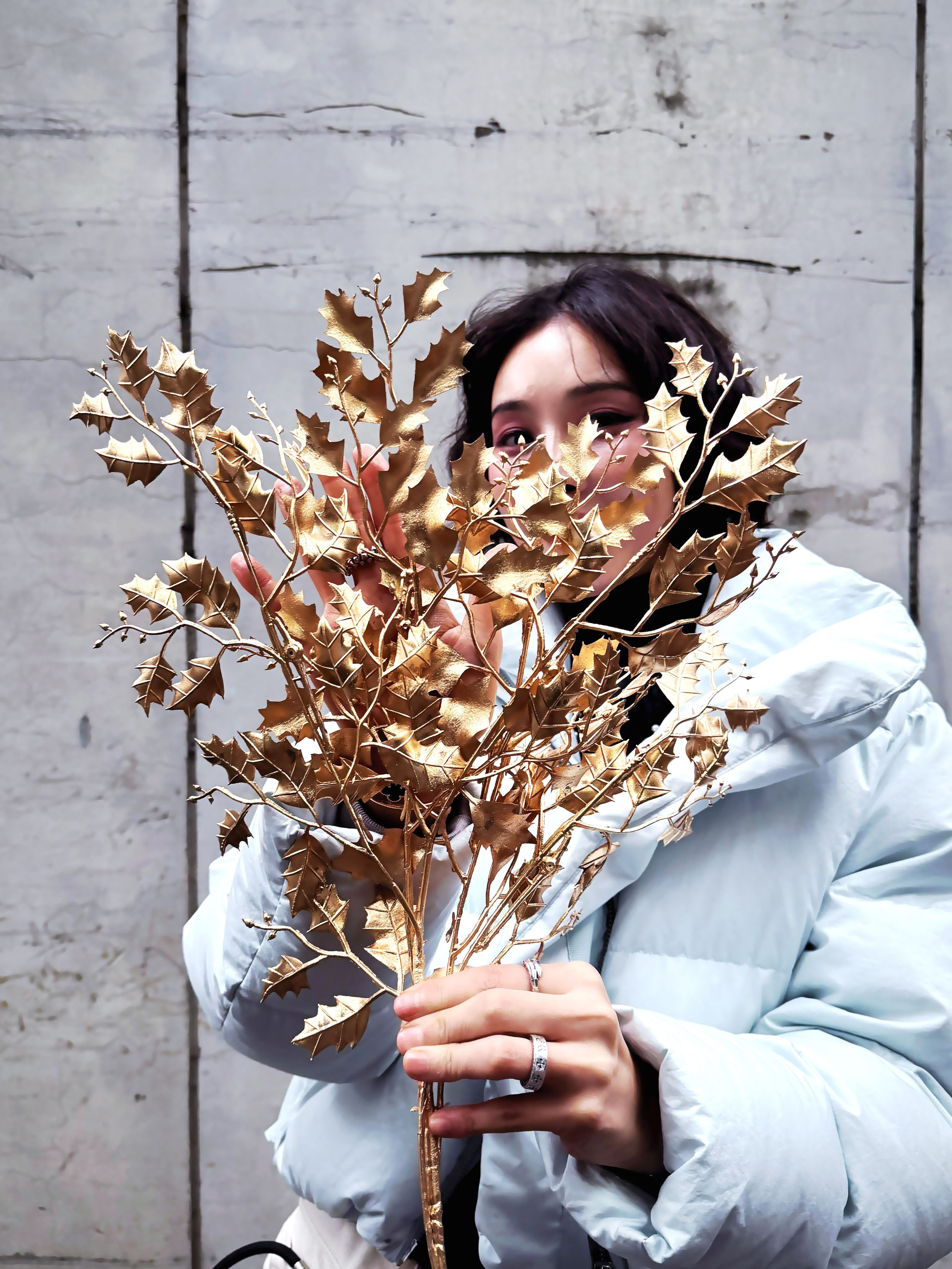 金色擬真冬青葉